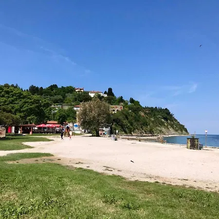 The View Piran