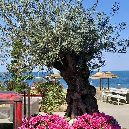 Apartment The View Piran