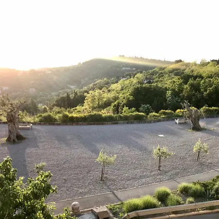 The View *